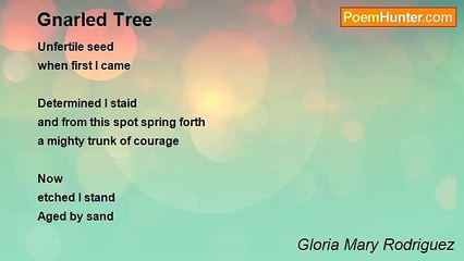 Gloria Mary Rodriguez - Gnarled Tree