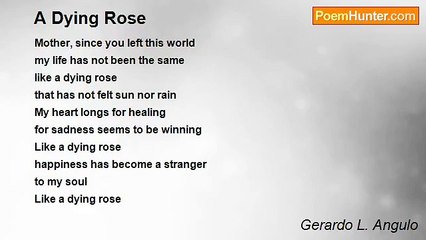 Gerardo L. Angulo - A Dying Rose
