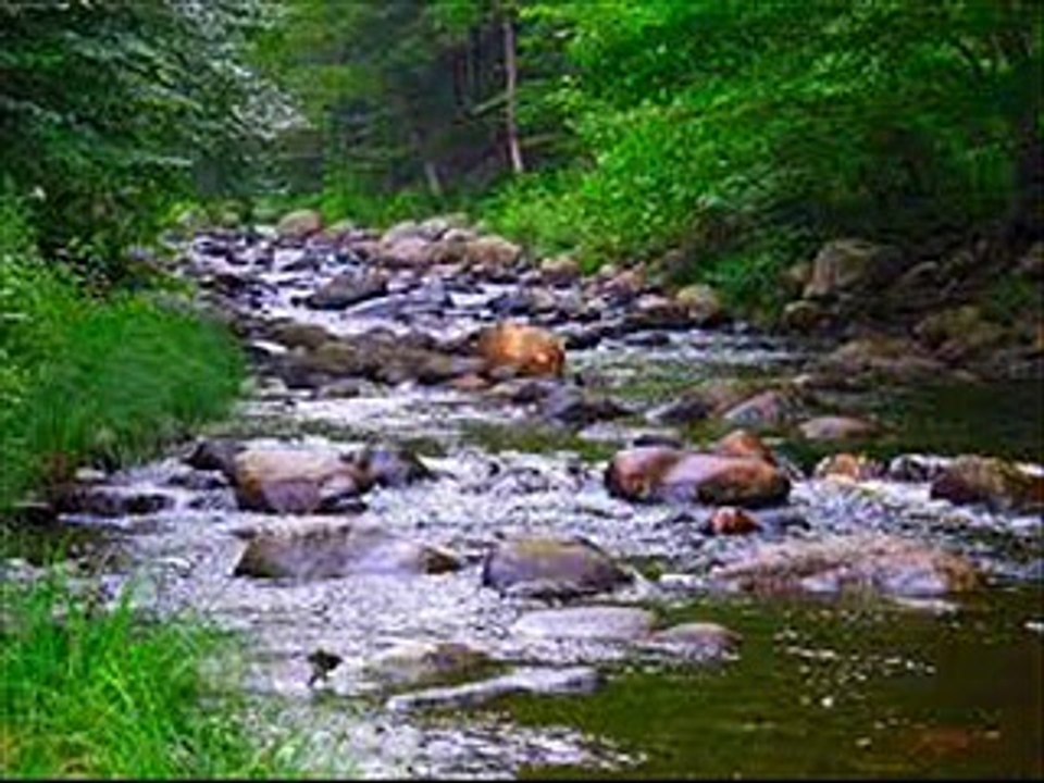 Riverside (Agnes Obel Cover)