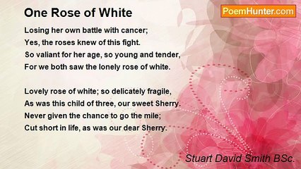 Stuart David Smith BSc. - One Rose of White