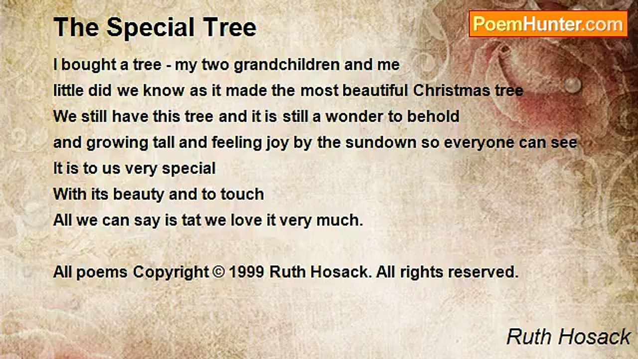 Ruth Hosack - The Special Tree