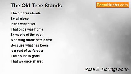 Rose E. Hollingsworth - The Old Tree Stands