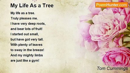 Tom Cummings - My Life As a Tree