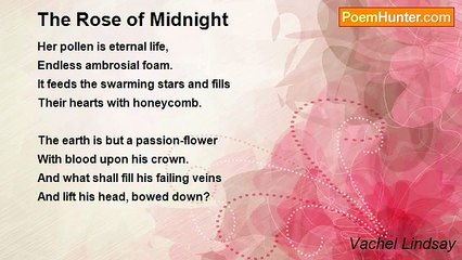 Vachel Lindsay - The Rose of Midnight