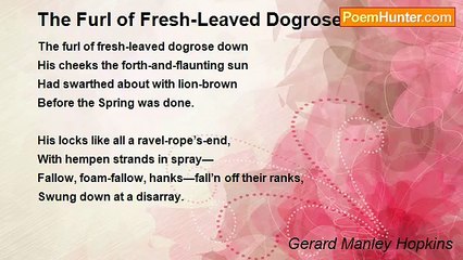 Gerard Manley Hopkins - The Furl of Fresh-Leaved Dogrose Down