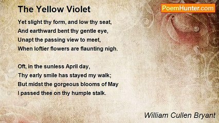 William Cullen Bryant - The Yellow Violet