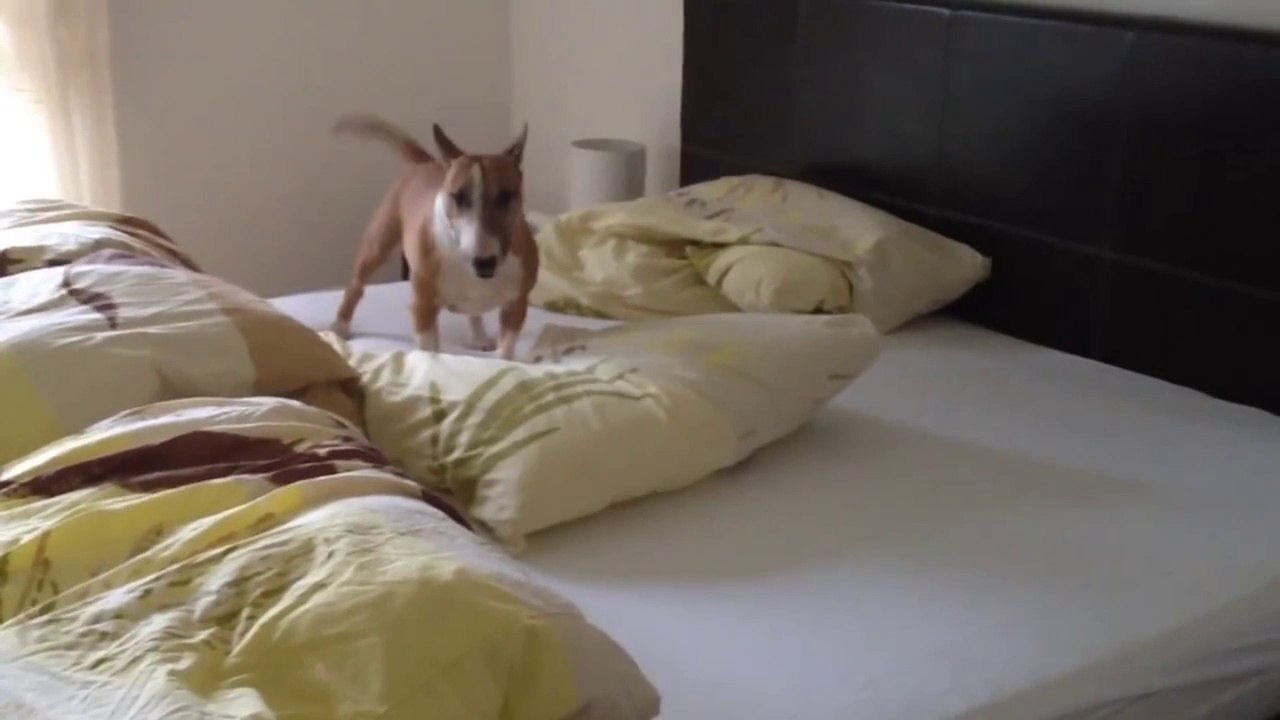 ¡Un torbellino en la cama!