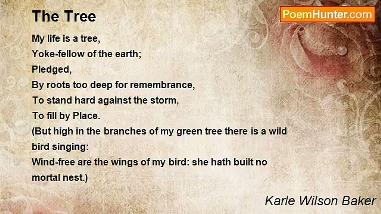 Karle Wilson Baker - The Tree