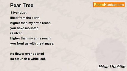 Hilda Doolittle - Pear Tree