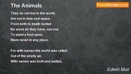 Edwin Muir - The Animals