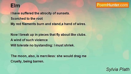 Sylvia Plath - Elm