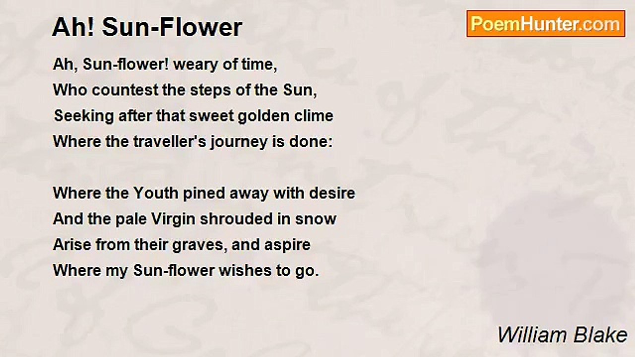 William Blake - Ah! Sun-Flower