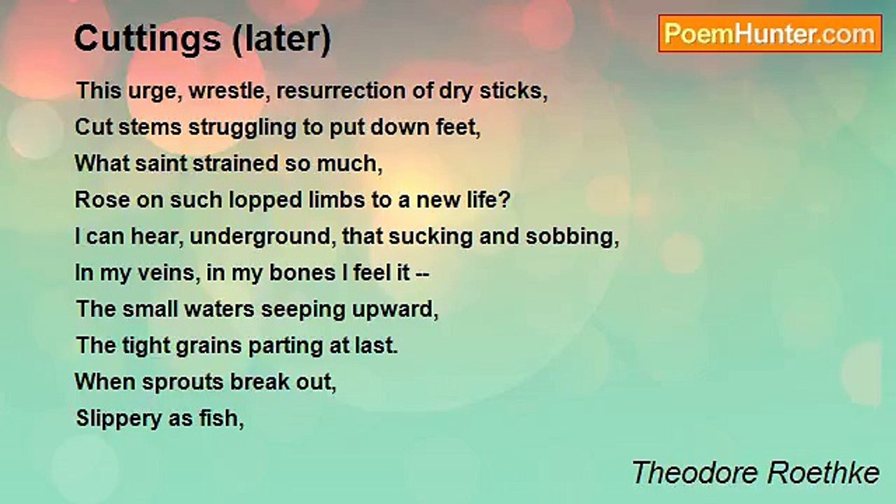 Theodore Roethke - Cuttings (later)