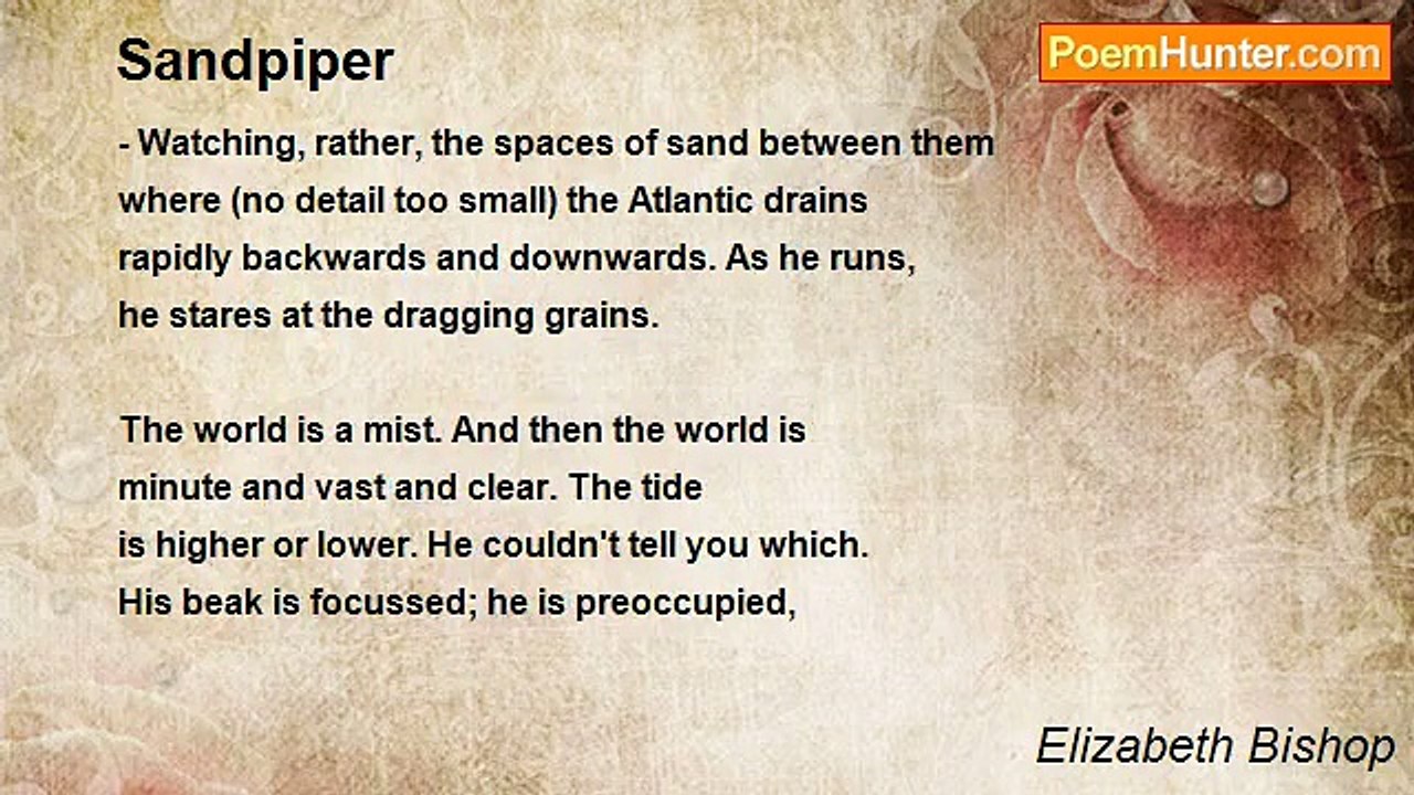 Elizabeth Bishop - Sandpiper