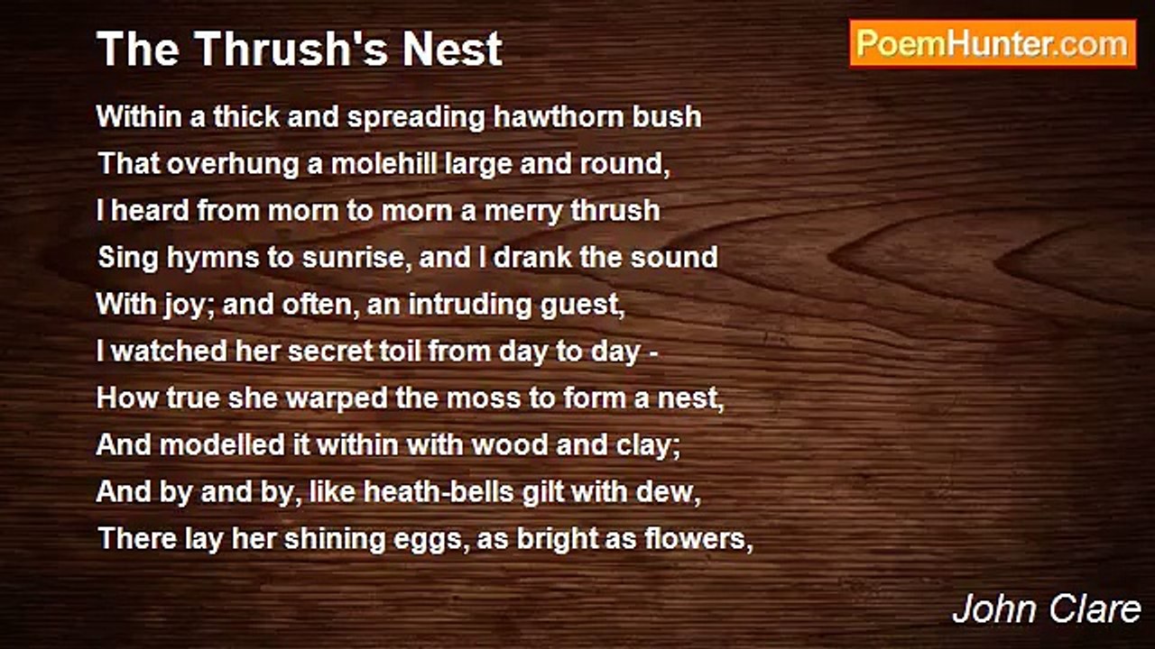 John Clare - The Thrush's Nest