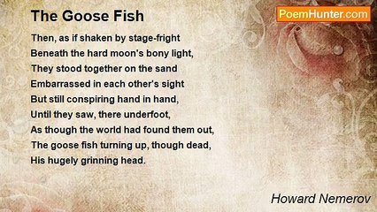 Howard Nemerov - The Goose Fish