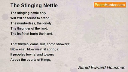 Alfred Edward Housman - The Stinging Nettle