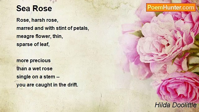 Hilda Doolittle - Sea Rose