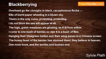 Sylvia Plath - Blackberrying