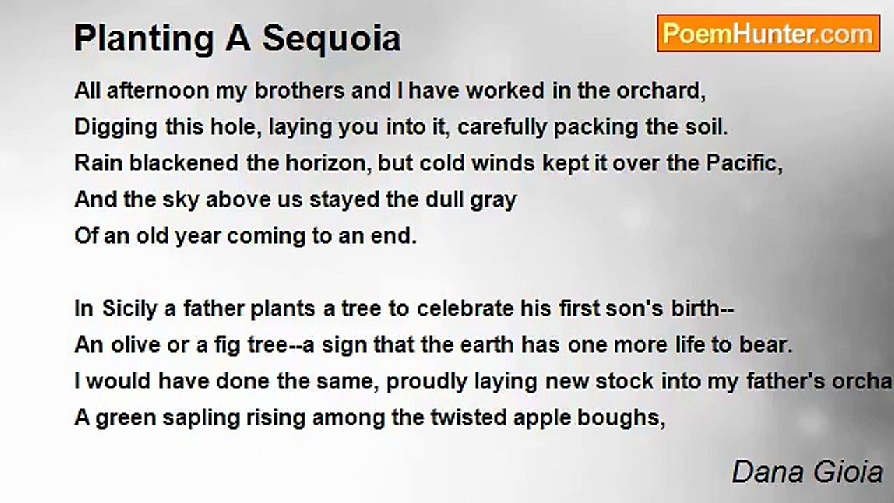 Dana Gioia - Planting A Sequoia