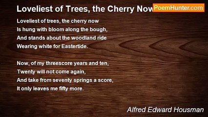 Alfred Edward Housman - Loveliest of Trees, the Cherry Now