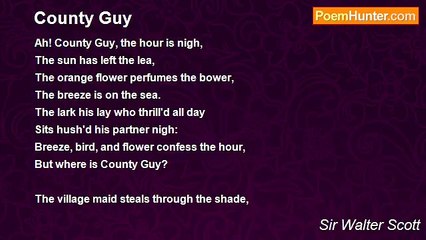 Sir Walter Scott - County Guy