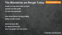 Charles Bukowski - The Blackbirds are Rough Today
