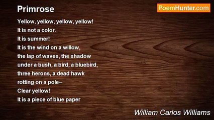William Carlos Williams - Primrose