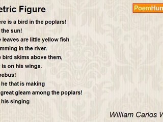 William Carlos Williams - Metric Figure