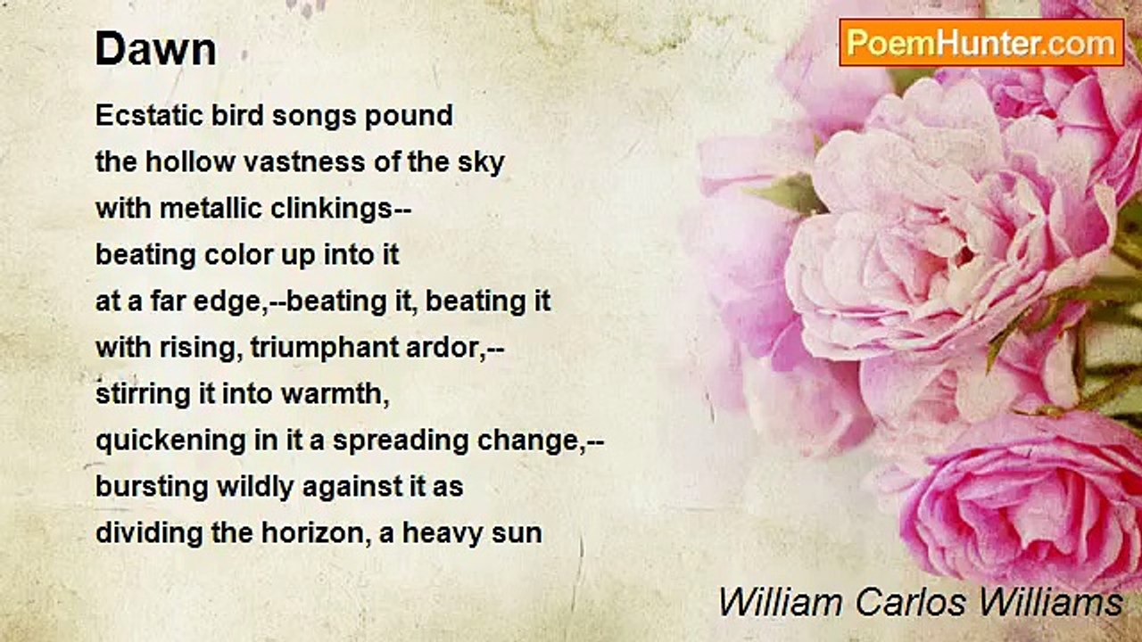 William Carlos Williams - Dawn