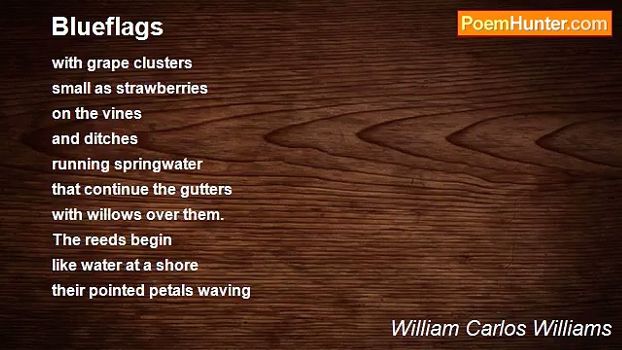William Carlos Williams - Blueflags
