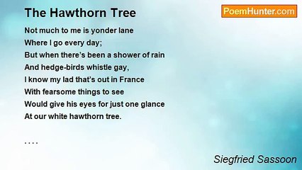 Siegfried Sassoon - The Hawthorn Tree