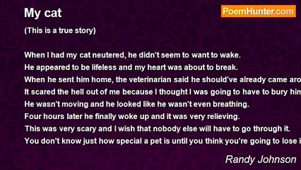 Randy Johnson - My cat