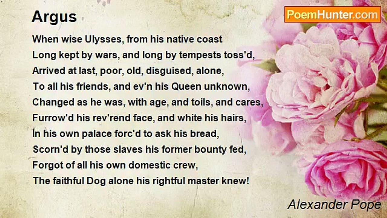 Alexander Pope - Argus