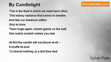 Sylvia Plath’s Poignant Nighttime Poem 🌙