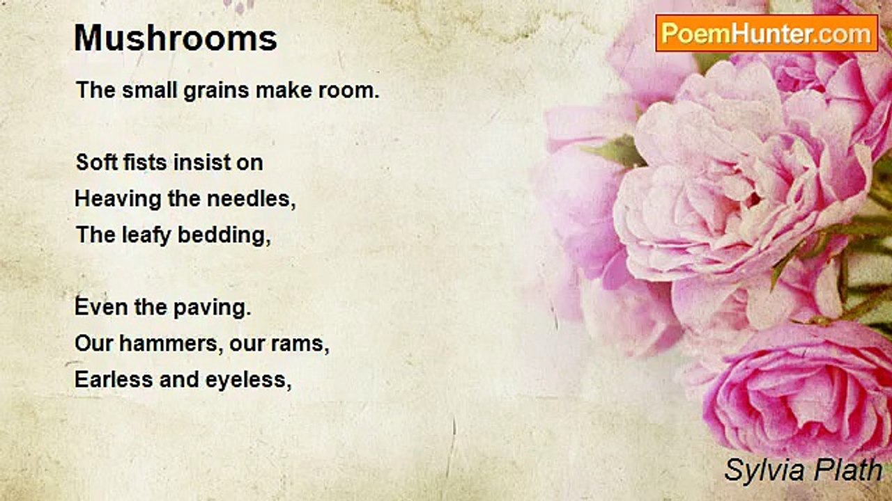 Sylvia Plath - Mushrooms