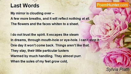 Sylvia Plath - Last Words