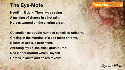 Sylvia Plath - The Eye-Mote