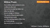 William Carlos Williams - Willow Poem