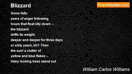 William Carlos Williams - Blizzard