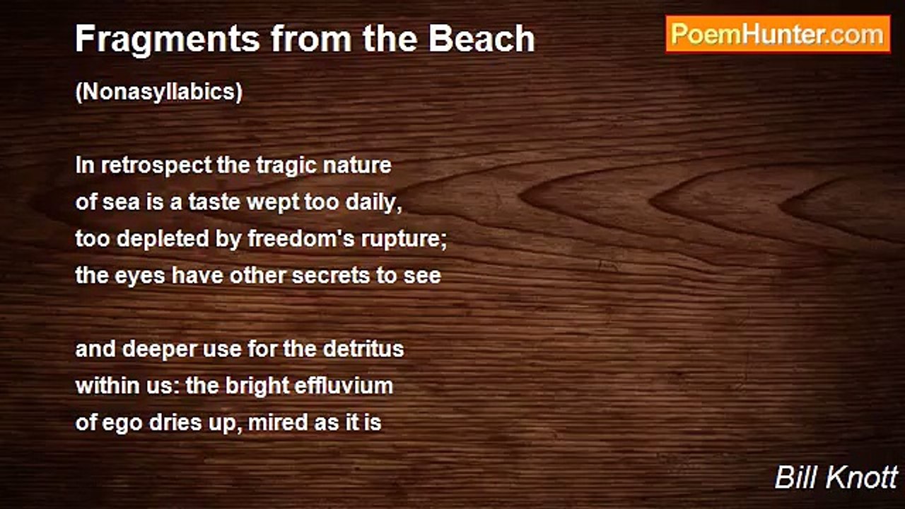 Bill Knott - Fragments from the Beach