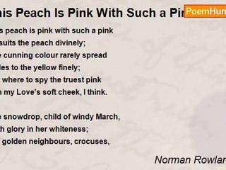 Norman Rowland Gale - This Peach Is Pink With Such a Pink