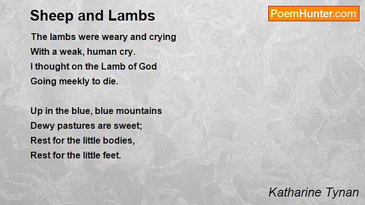 Katharine Tynan - Sheep and Lambs