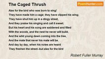 Robert Fuller Murray - The Caged Thrush