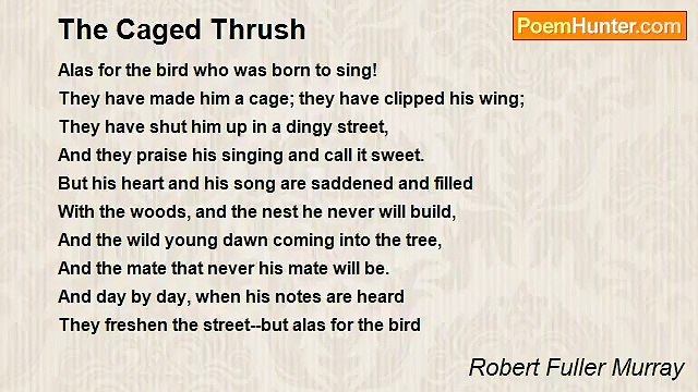 Robert Fuller Murray - The Caged Thrush