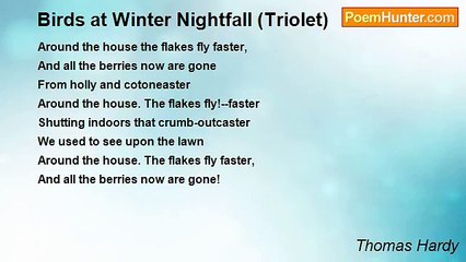 Thomas Hardy - Birds at Winter Nightfall (Triolet)