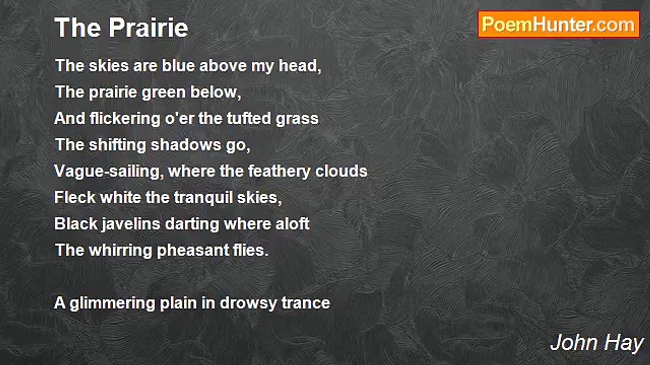 John Hay - The Prairie