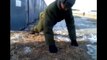 Russian soldier funny push-ups