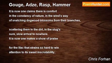 Chris Forhan - Gouge, Adze, Rasp, Hammer