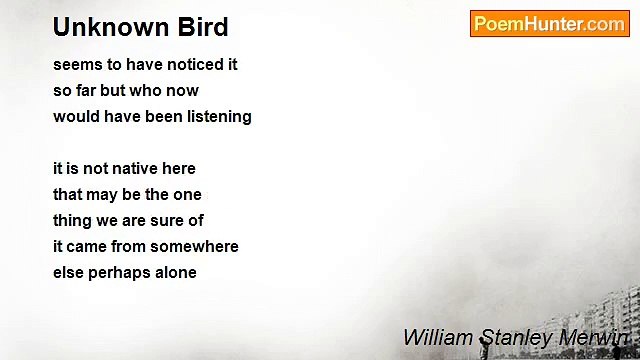 William Stanley Merwin - Unknown Bird